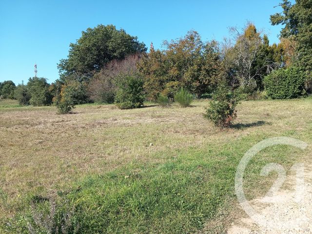 Terrain &agrave; vendre - 1249 m2 - Graulhet - 81 - MIDI-PYRENEES