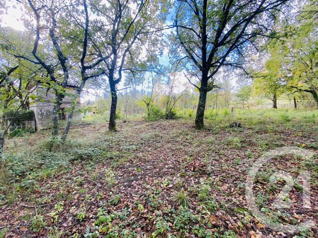 Terrain &agrave; vendre - 5600 m2 - Graulhet - 81 - MIDI-PYRENEES