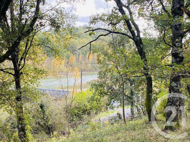 Terrain &agrave; vendre - 5600 m2 - Graulhet - 81 - MIDI-PYRENEES