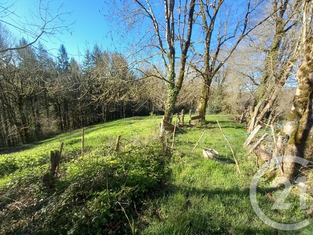 Maison &agrave; vendre - 5 pi&egrave;ces - 99,44 m2 - Montredon Labessonnie - 81 - MIDI-PYRENEES