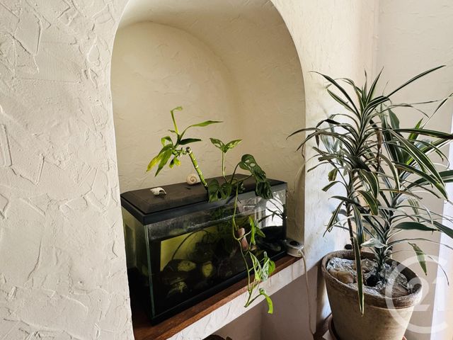 Maison à vendre - 6 pièces - 225 m2 - Cabanes - 81 - MIDI-PYRENEES