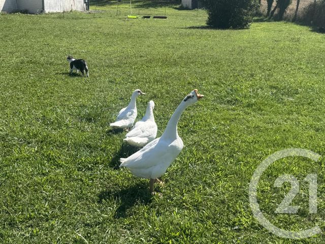 Maison à vendre - 6 pièces - 225 m2 - Cabanes - 81 - MIDI-PYRENEES