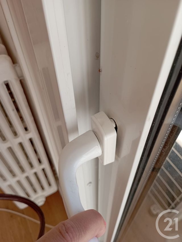 Appartement T3 à louer - 3 pièces - 72 m2 - Graulhet - 81 - MIDI-PYRENEES