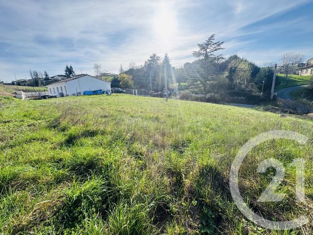Terrain &agrave; vendre - Graulhet - 81 - MIDI-PYRENEES