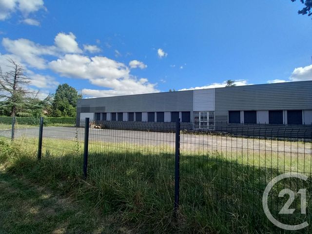 Maison à vendre - 1 pièce - 800 m2 - Graulhet - 81 - MIDI-PYRENEES