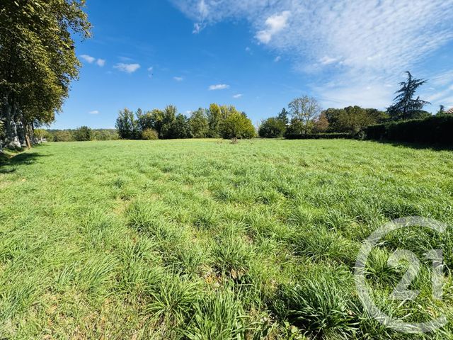 terrain - DAMIATTE - 81