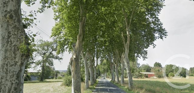 Terrain &agrave; vendre - 1585 m2 - Damiatte - 81 - MIDI-PYRENEES