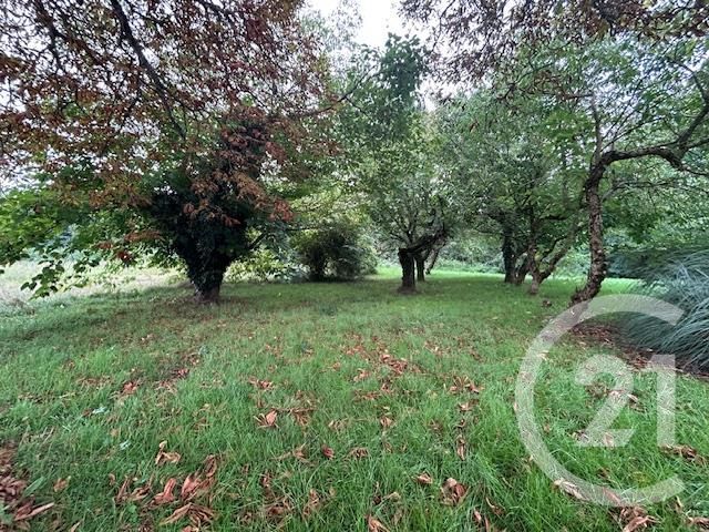 Appartement T2 à louer - 2 pièces - 88,37 m2 - Graulhet - 81 - MIDI-PYRENEES