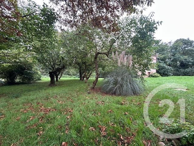 Appartement T2 à louer - 2 pièces - 88,37 m2 - Graulhet - 81 - MIDI-PYRENEES