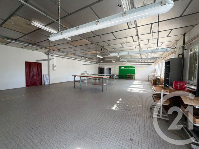 Appartement Local &agrave; louer - 1 pi&egrave;ce - 550 m2 - Graulhet - 81 - MIDI-PYRENEES