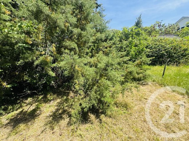 Terrain &agrave; vendre - 1115 m2 - Graulhet - 81 - MIDI-PYRENEES