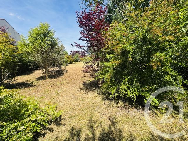 Terrain &agrave; vendre - 1115 m2 - Graulhet - 81 - MIDI-PYRENEES