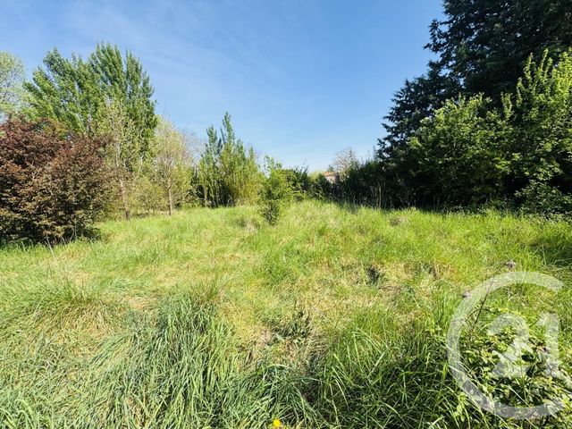 Terrain &agrave; vendre - 1115 m2 - Graulhet - 81 - MIDI-PYRENEES