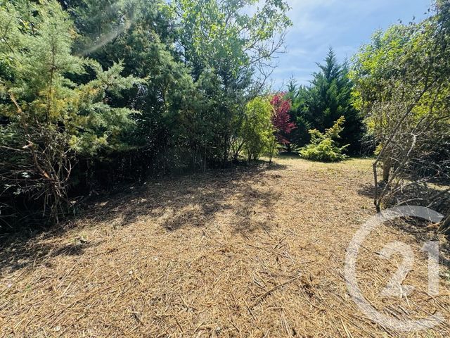 Terrain &agrave; vendre - 1115 m2 - Graulhet - 81 - MIDI-PYRENEES