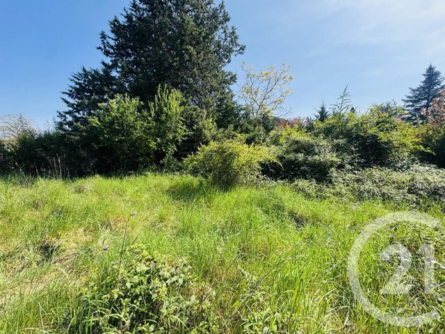 Terrain &agrave; vendre - 1115 m2 - Graulhet - 81 - MIDI-PYRENEES