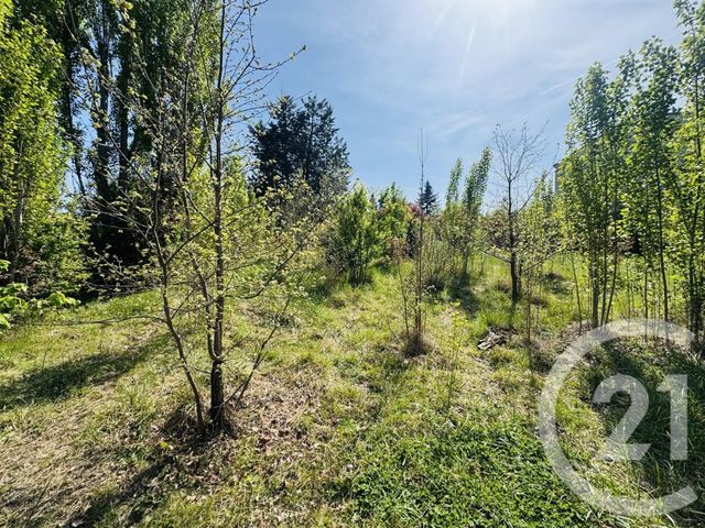 Terrain &agrave; vendre - 1115 m2 - Graulhet - 81 - MIDI-PYRENEES