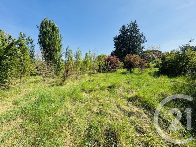 Terrain &agrave; vendre - 1115 m2 - Graulhet - 81 - MIDI-PYRENEES
