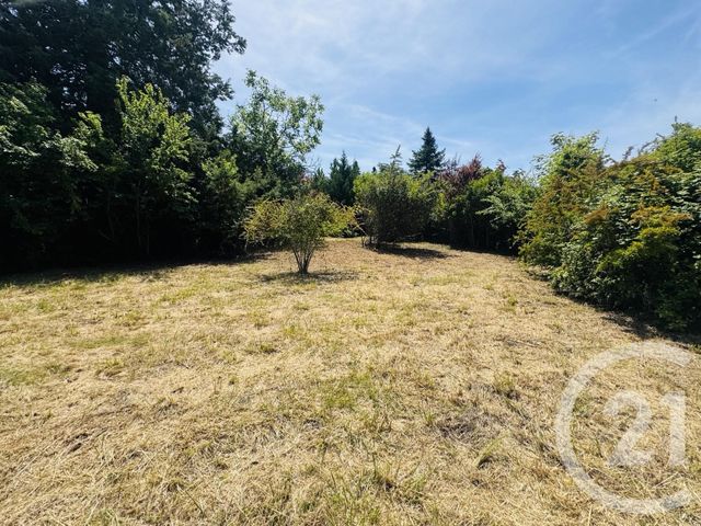 Terrain &agrave; vendre - 1115 m2 - Graulhet - 81 - MIDI-PYRENEES