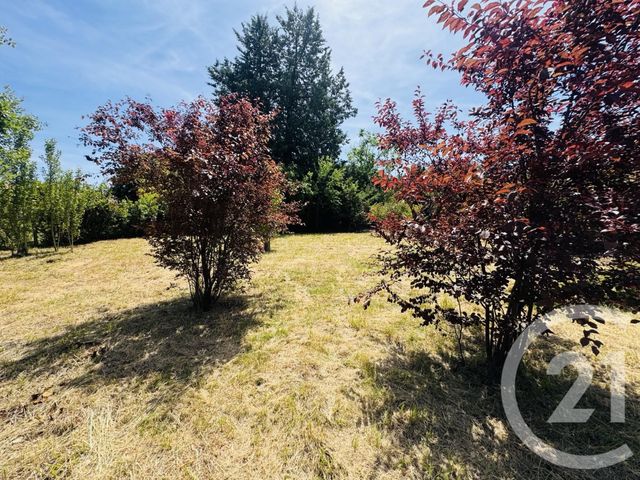 Terrain &agrave; vendre - 1115 m2 - Graulhet - 81 - MIDI-PYRENEES