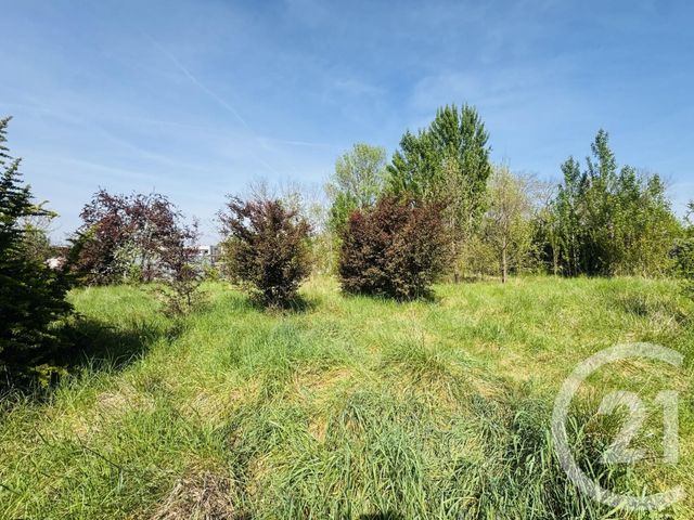 Terrain &agrave; vendre - 1115 m2 - Graulhet - 81 - MIDI-PYRENEES