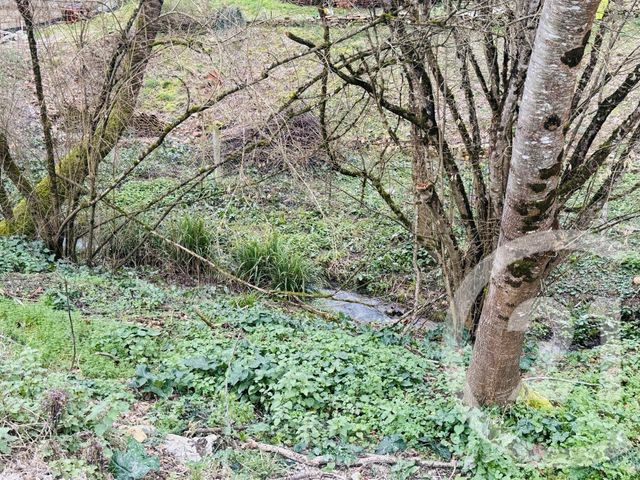 Maison &agrave; vendre - 4 pi&egrave;ces - 148,40 m2 - St Julien Du Puy - 81 - MIDI-PYRENEES