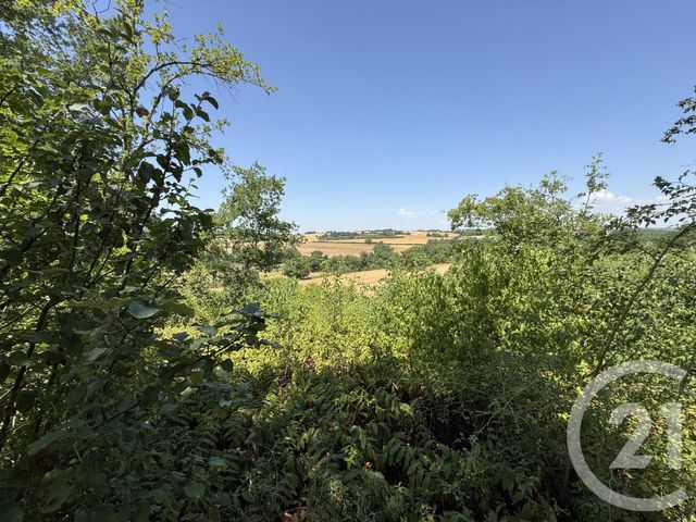 Maison &agrave; vendre - 10 pi&egrave;ces - 270 m2 - Labessiere Candeil - 81 - MIDI-PYRENEES