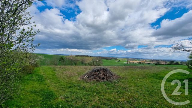 Maison &agrave; vendre - 6 pi&egrave;ces - 169,50 m2 - Labessiere Candeil - 81 - MIDI-PYRENEES