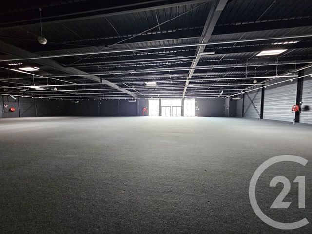 Maison &agrave; louer - 1 pi&egrave;ce - 1342 m2 - Graulhet - 81 - MIDI-PYRENEES