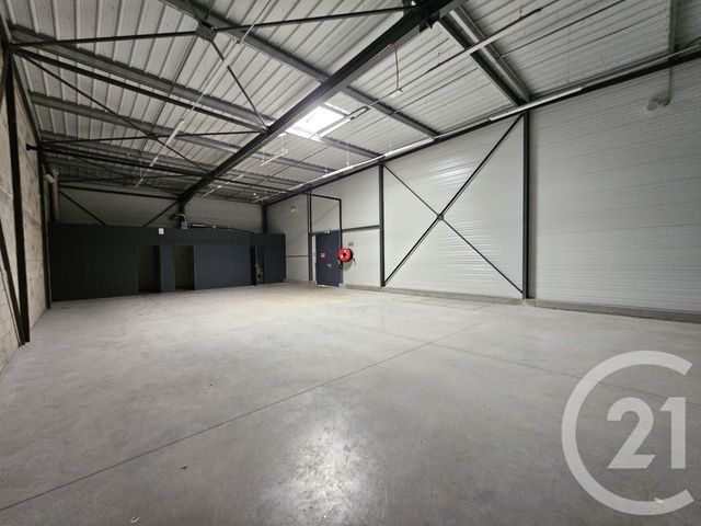 Maison &agrave; louer - 1 pi&egrave;ce - 1342 m2 - Graulhet - 81 - MIDI-PYRENEES