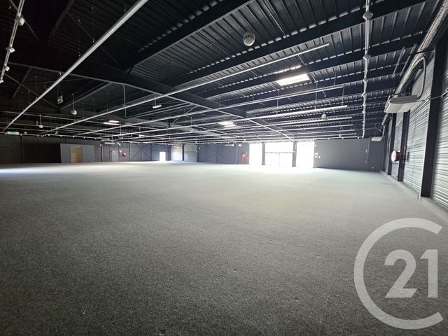 Maison &agrave; louer - 1 pi&egrave;ce - 1342 m2 - Graulhet - 81 - MIDI-PYRENEES