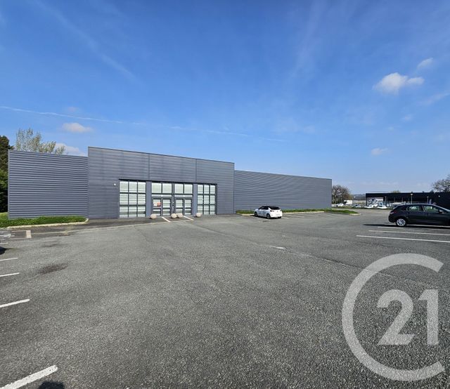 Maison &agrave; louer - 1 pi&egrave;ce - 1342 m2 - Graulhet - 81 - MIDI-PYRENEES