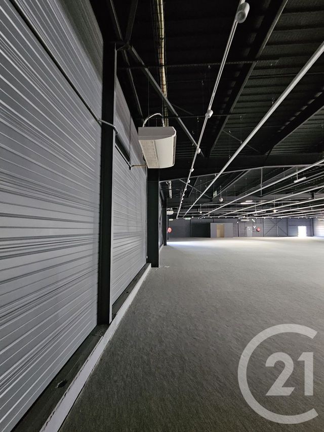 Maison &agrave; louer - 1 pi&egrave;ce - 1342 m2 - Graulhet - 81 - MIDI-PYRENEES