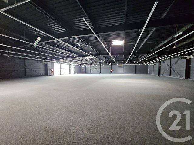 Maison &agrave; louer - 1 pi&egrave;ce - 1342 m2 - Graulhet - 81 - MIDI-PYRENEES