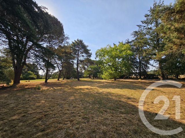 Maison &agrave; vendre - 6 pi&egrave;ces - 266,41 m2 - Graulhet - 81 - MIDI-PYRENEES