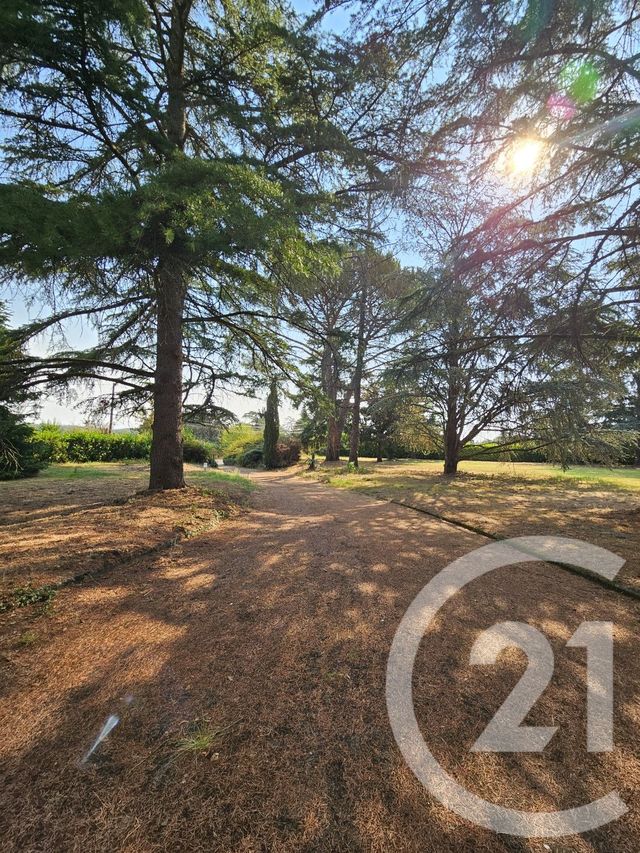 Maison &agrave; vendre - 6 pi&egrave;ces - 266,41 m2 - Graulhet - 81 - MIDI-PYRENEES