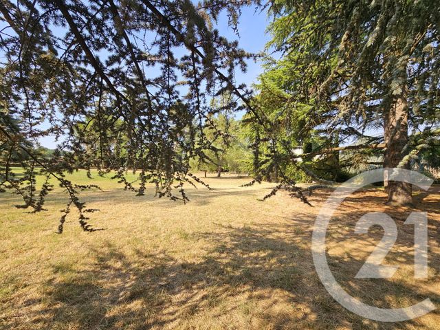 Maison &agrave; vendre - 6 pi&egrave;ces - 266,41 m2 - Graulhet - 81 - MIDI-PYRENEES