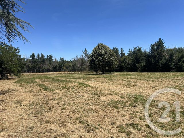 Maison &agrave; vendre - 7 pi&egrave;ces - 342,64 m2 - Laboutarie - 81 - MIDI-PYRENEES