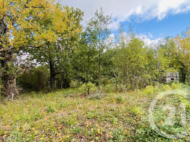Terrain &agrave; vendre - 2440 m2 - Graulhet - 81 - MIDI-PYRENEES