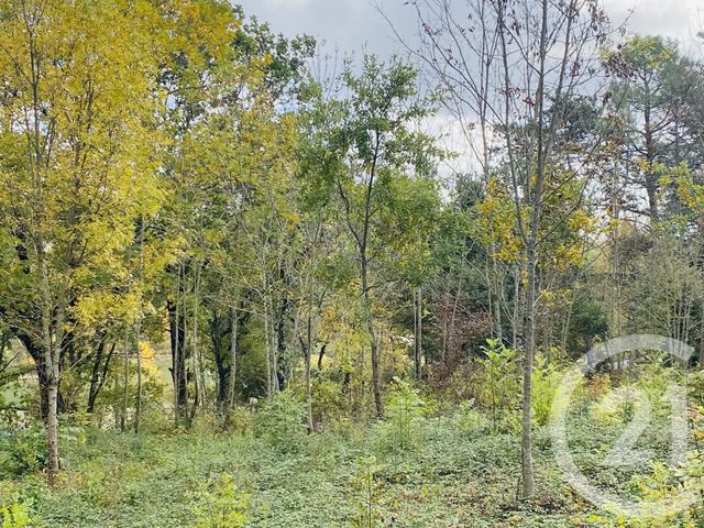 Terrain &agrave; vendre - 2440 m2 - Graulhet - 81 - MIDI-PYRENEES