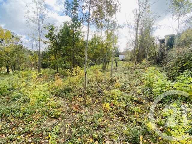 Terrain &agrave; vendre - 2440 m2 - Graulhet - 81 - MIDI-PYRENEES