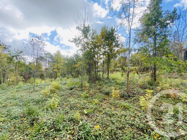 Terrain &agrave; vendre - 2440 m2 - Graulhet - 81 - MIDI-PYRENEES