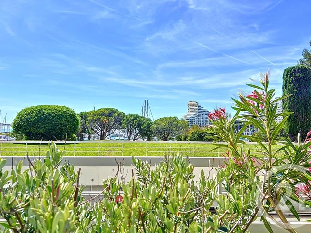 appartement - VILLENEUVE LOUBET - 06