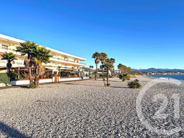 Appartement T1 à louer - 1 pièce - 33 m2 - Villeneuve Loubet - 06 - PROVENCE-ALPES-COTE-D-AZUR