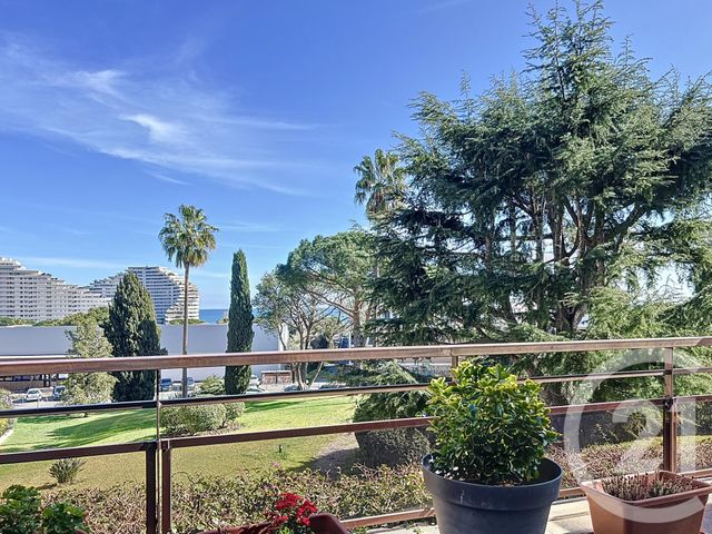 Appartement T2 &agrave; louer - 2 pi&egrave;ces - 52 m2 - Villeneuve Loubet - 06 - PROVENCE-ALPES-COTE-D-AZUR