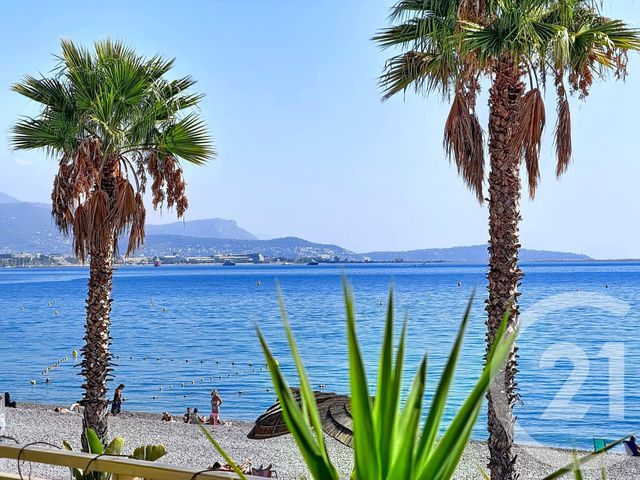 Appartement Studio &agrave; vendre - 1 pi&egrave;ce - 33 m2 - Villeneuve Loubet - 06 - PROVENCE-ALPES-COTE-D-AZUR
