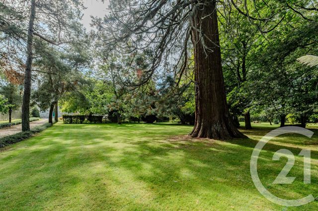 Maison &agrave; vendre - 12 pi&egrave;ces - 374,51 m2 - Vitre - 35 - BRETAGNE