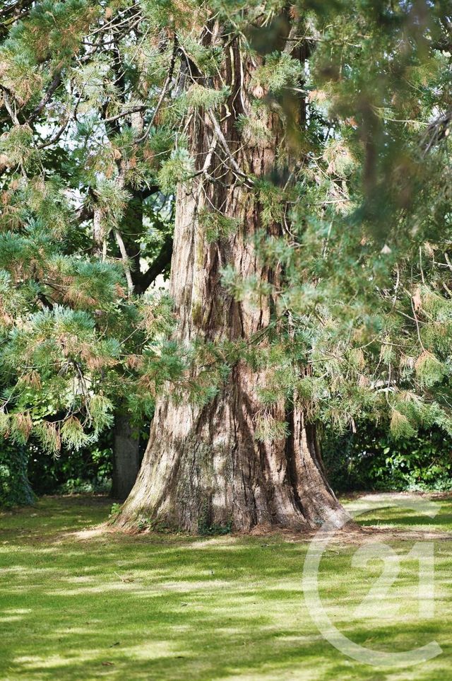 Maison &agrave; vendre - 12 pi&egrave;ces - 374,51 m2 - Vitre - 35 - BRETAGNE