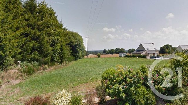 terrain - DINGE - 35