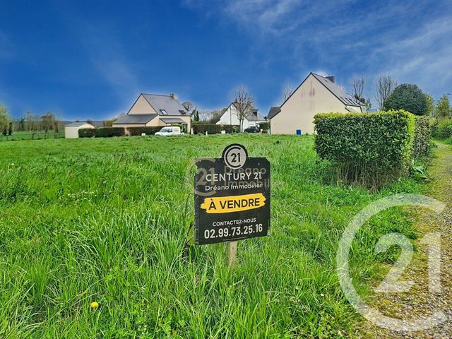 terrain - DINGE - 35