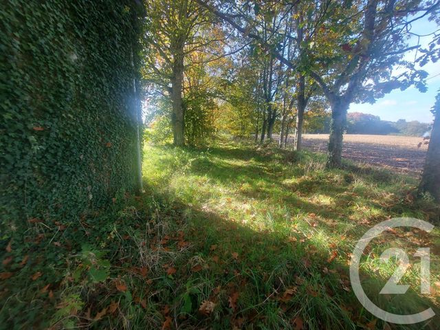 Maison &agrave; vendre - 9 pi&egrave;ces - 250 m2 - Hede Bazouges - 35 - BRETAGNE